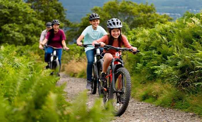 Bike Track